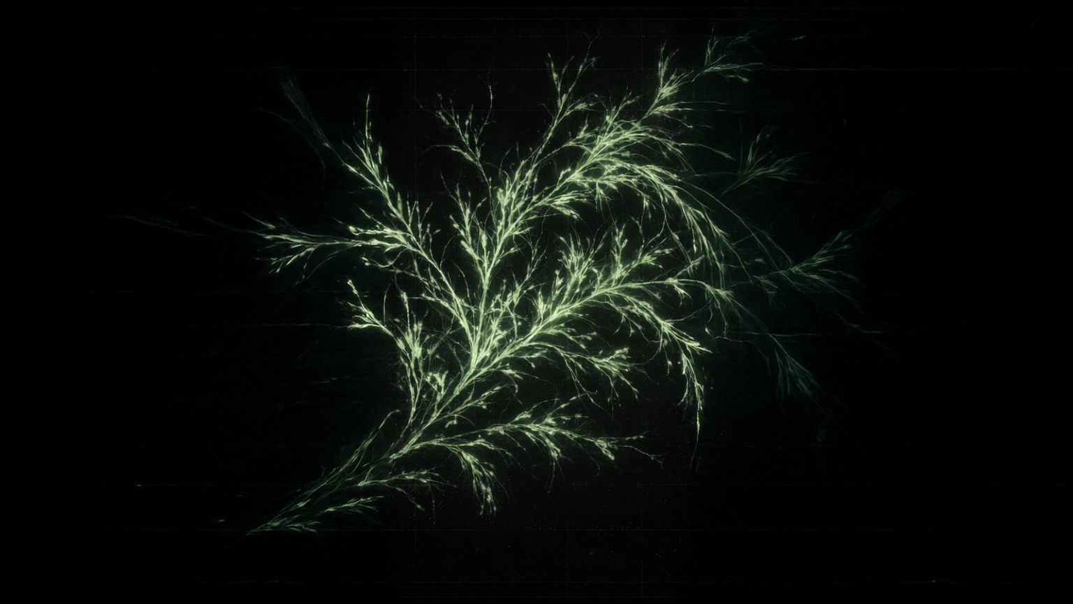 Ink-on-paper network of calligraphic strokes